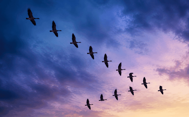Industries Using Compliance Management